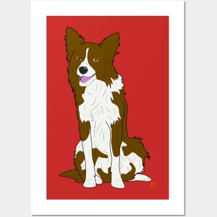 Border collie Posters and Art